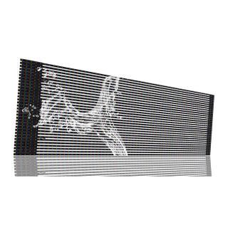 DIP Curtain LED Screen